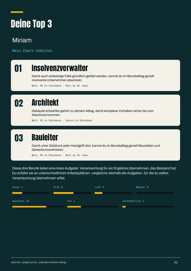 Miriams Muster-PDF, Seite 1: drei Jobtitel mit Warum und Chartfaktoren