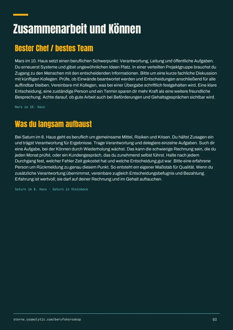 Miriams Muster-PDF, Seite 3: Zusammenarbeit und Können