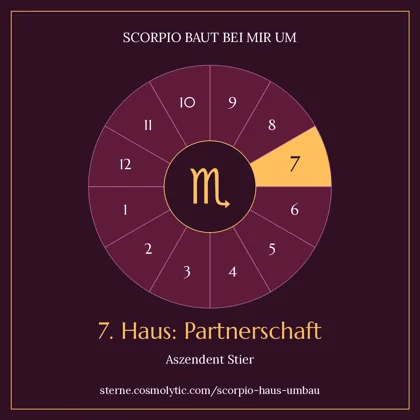 Haus-Badge für Aszendent Stier: Skorpion im 7. Haus, Partnerschaft, auf Weinrot mit einem goldenen Segment